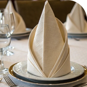 Napkins